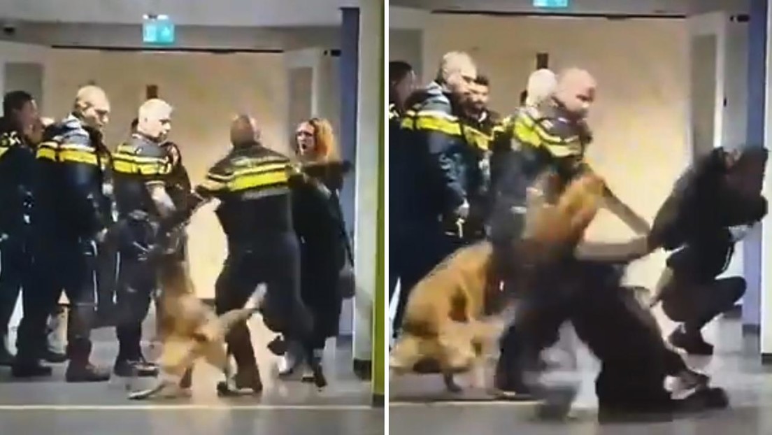 Un policía lanza violentamente al suelo a una mujer embarazada (VIDEO)