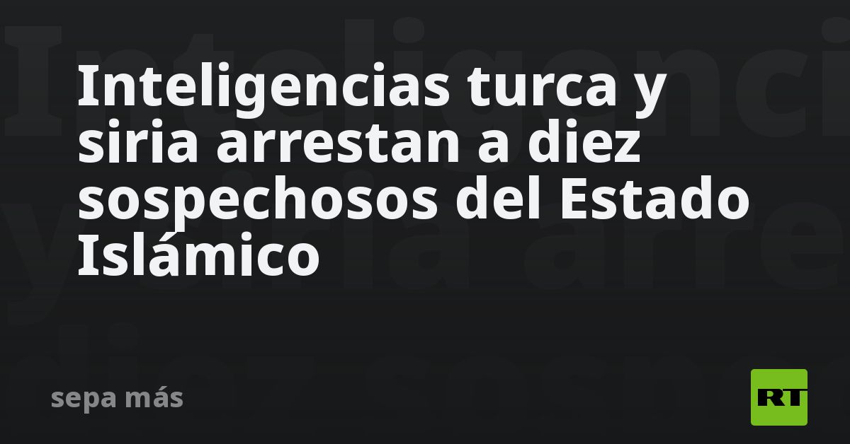 Inteligencias turca y siria arrestan a diez sospechosos del Estado Islámico