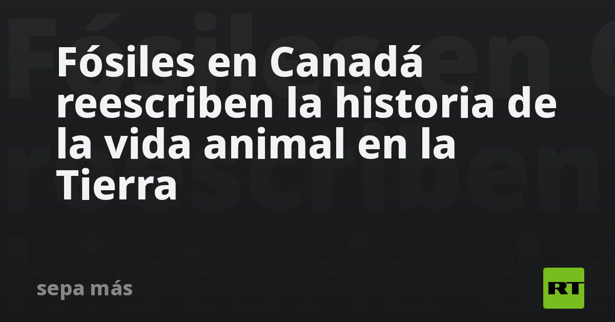 Fósiles en Canadá reescriben la historia de la vida animal en la Tierra