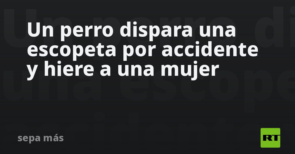 Un perro dispara una escopeta por accidente y hiere a una mujer
