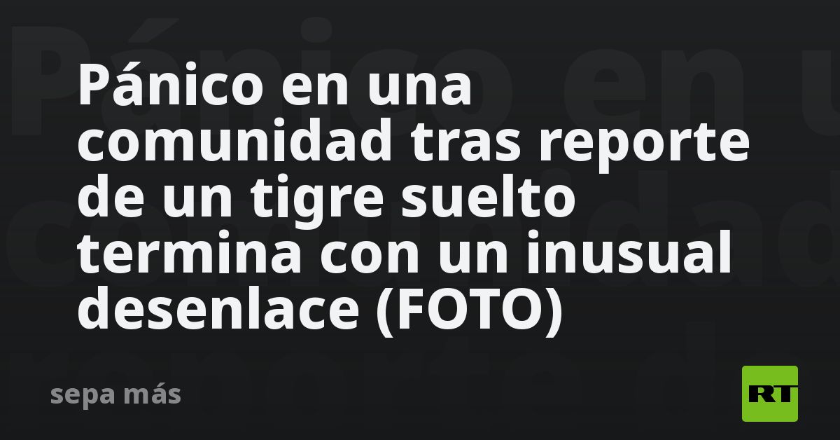 Pánico en una comunidad tras reporte de un tigre suelto termina con un inusual desenlace (FOTO)