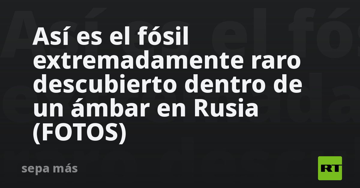 Así es el fósil extremadamente raro descubierto dentro de un ámbar en Rusia (FOTOS)