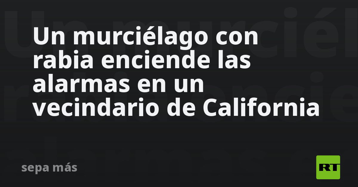 Un murciélago con rabia enciende las alarmas en un vecindario de California
