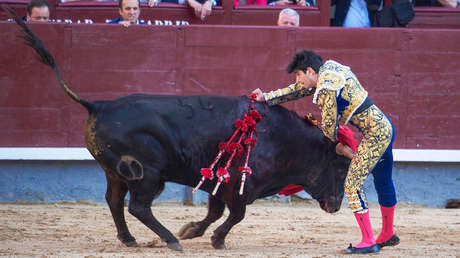 Torero retirado cae en una trituradora de pienso y salva su vida de milagro