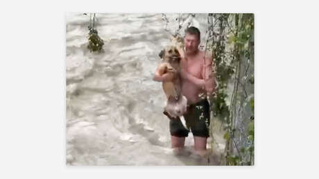 VIDEO: Salva a un perro de morir en un río embravecido