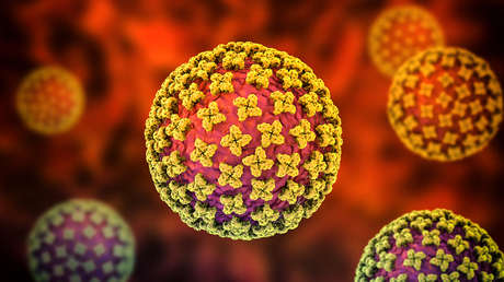 INFOGRAFÍA: Lo que hay que saber sobre el hantavirus