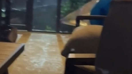 Un 'intruso' en casa resulta ser algo mucho más impactante (VIDEO)