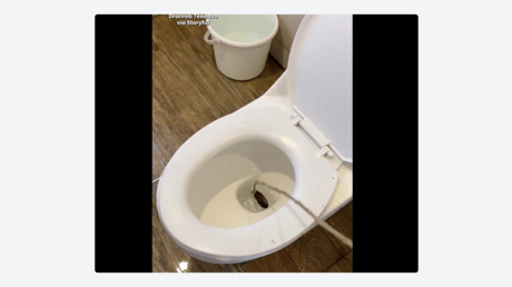 VIDEO: Aterrador hallazgo en el inodoro de un hotel