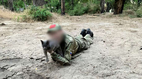La historia de un joven británico que abandonó su carrera y se unió al Ejército ruso
