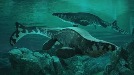 Descubren un 'T. rex' gigantesco que cazaba en las profundidades del océano
