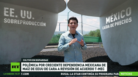 Polémica por creciente dependencia mexicana de maíz de EE.UU. de cara a la revisión del acuerdo T-MEC