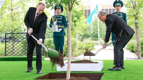 VIDEO: Putin y su par kazajo plantan un árbol