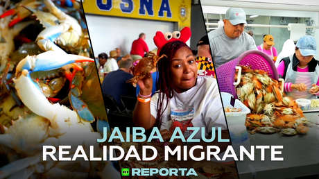 Jaiba azul: realidad migrante
