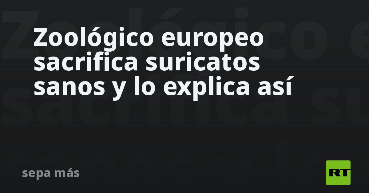 Zoológico europeo sacrifica suricatos sanos y lo explica así