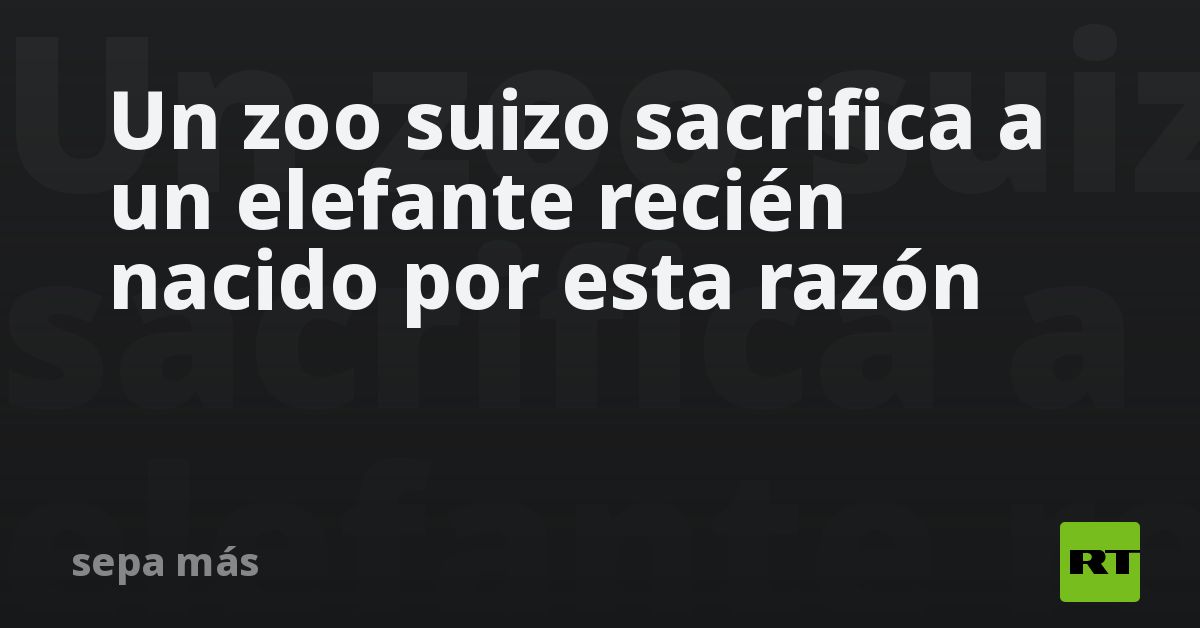 Un zoo suizo sacrifica a un elefante recién nacido por esta razón