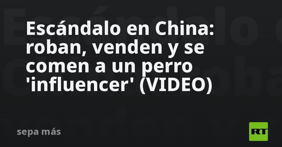 Escándalo en China: roban, venden y se comen a un perro 'influencer' (VIDEO)