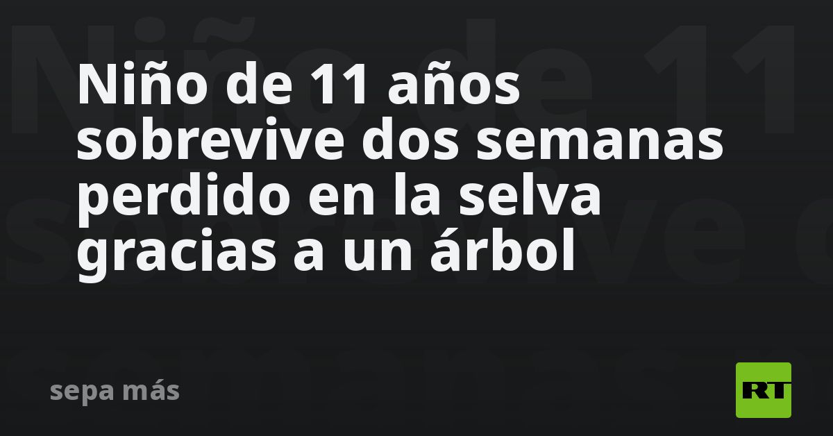 Niño de 11 años sobrevive dos semanas perdido en la selva gracias a un árbol