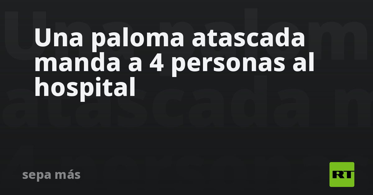 Una paloma atascada manda a 4 personas al hospital