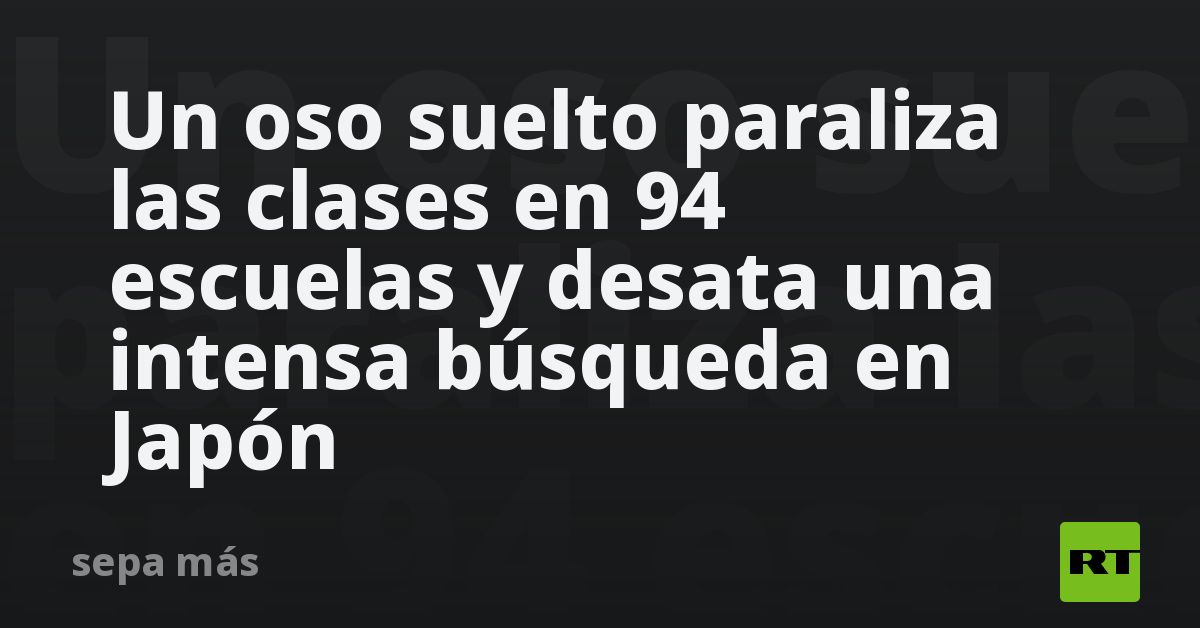 Un oso suelto paraliza las clases en 94 escuelas y