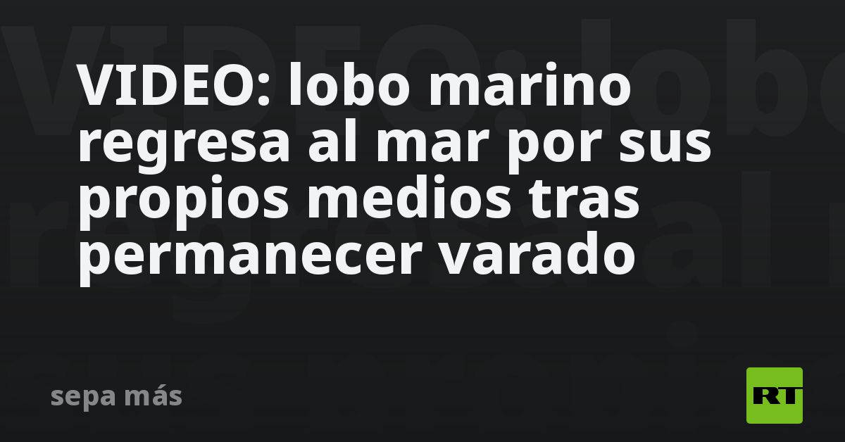 VIDEO: lobo marino regresa al mar por sus propios 