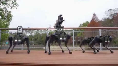 VIDEOS: Taiwán presenta perros robot militares con capacidad de fuego