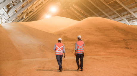 Suben los precios del azúcar: el inesperado giro en la producción brasileña que sacude el mercado