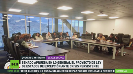 El Senado boliviano aprueba en lo general el proyecto de ley de Estados de Excepción ante crisis