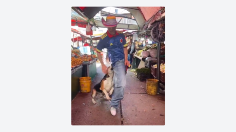 VIDEO: Perro le roba el show a un hombre que baila 'Dai Dai' de Shakira