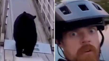 Ciclista graba inquietante encuentro mientras disfruta de  la puesta de sol (VIDEO)