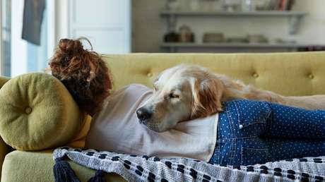 Confirmado: dormir con un perro es más saludable q