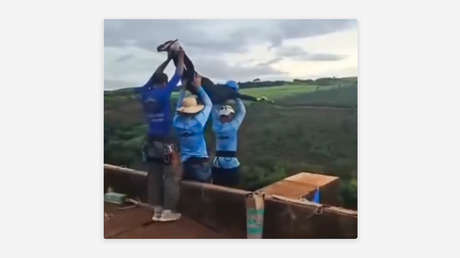 La insólita declaración de quienes lanzaron sin arnés a una joven que hacía 'puenting' en Brasil
