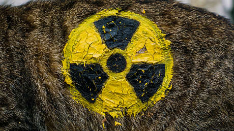 Asesor de Putin desaconseja a los países bálticos "tirar del bigote a un gato de garras nucleares"