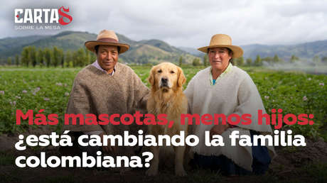 Más mascotas, menos hijos: ¿está cambiando la familia colombiana?