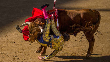 Torero Tomás Angulo, en estado "muy grave" tras recibir dos cornadas (FOTO)