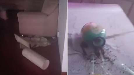 VIDEO: Momento aterrador en un apartamento durante potente sismo en Venezuela