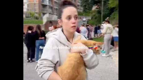 Rescate gatuno: así fue la evacuación felina durante el doble terremoto en Venezuela (VIDEO)