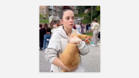 Rescate gatuno: así fue la evacuación felina durante el doble terremoto en Venezuela (VIDEO)