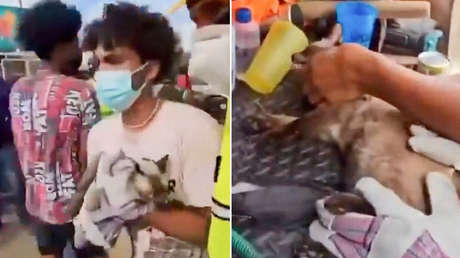 "Es lo único que me queda": Joven rescata a su gata bajo los escombros en Venezuela