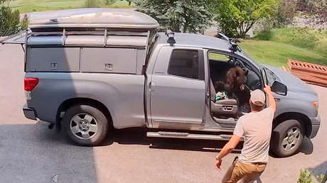 VIDEO: Un insólito 'conductor' ocupa el asiento de una camioneta en EE.UU.