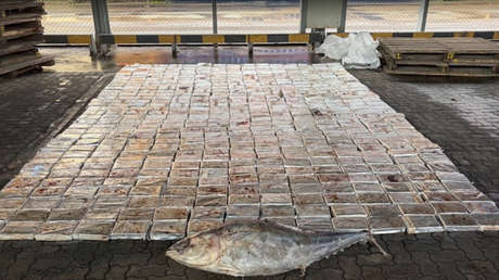Atún con 'mal' dentro: hallan en un puerto ruso 500 kilos de cocaína procedente de Latinoamérica