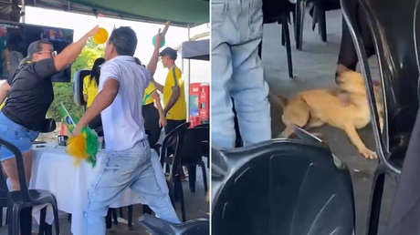 VIDEO: Captan a un perro festejando un gol de Brasil en el Mundial