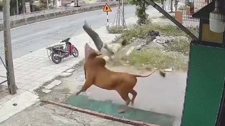 Captura de pantalla