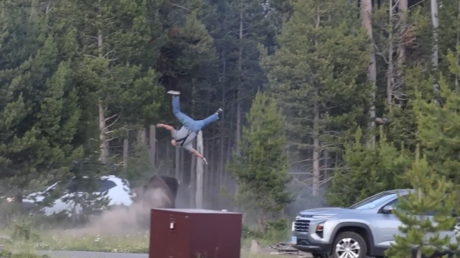 VIDEO: Un bisonte embiste y lanza por los aires a un hombre en EE.UU.