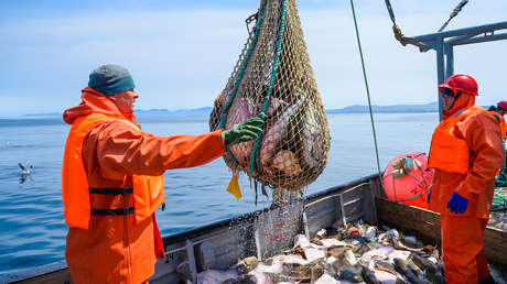 Pescado pone en apuros nuevo paquete de sanciones antirrusas