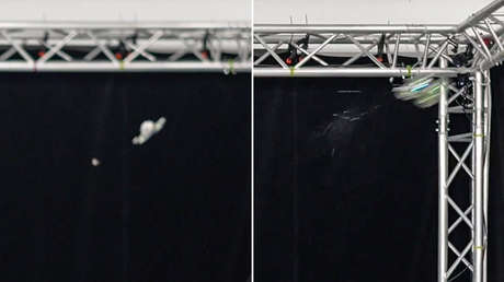 Presentan dron con IA que promete poner fin a los mosquitos (VIDEO)