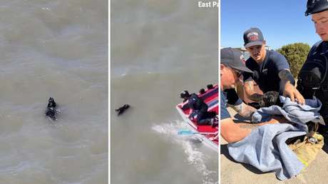 VIDEO: El heroico y angustioso rescate de un perrito a punto de ahogarse
