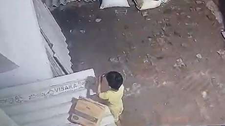 ESTREMECEDOR VIDEO: Fatal ataque de una serpiente venenosa a un niño de tres años