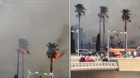 VIDEO: Un incendio se aproxima a uno de los principales íconos arquitectónicos de Valencia