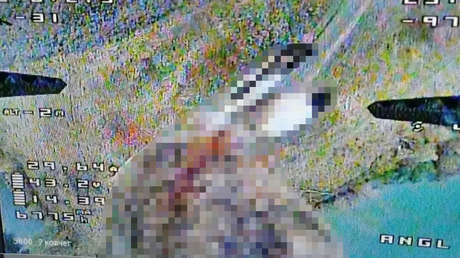Explosivos en animales y 'nuevos pétalos': fuerzas ucranianas crean nuevas amenazas para los civiles