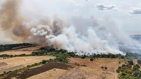 La mayor central nuclear de Reino Unido, en alerta por un gran incendio forestal